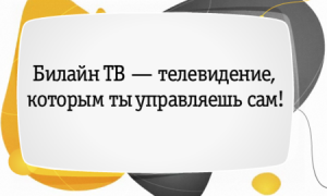 Как отключить и подключить Билайн ТВ, обзор услуги